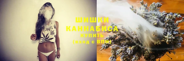 шишки Аркадак