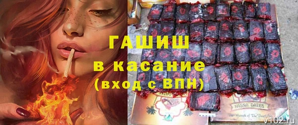 шишки Аркадак