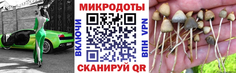 Псилоцибиновые грибы прущие грибы  omg ССЫЛКА  Порхов  закладки 